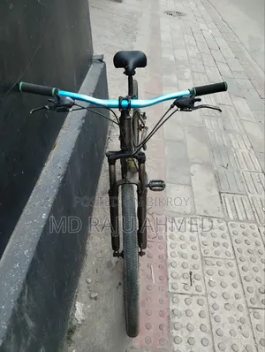 ফিনিক্স সাইকেল