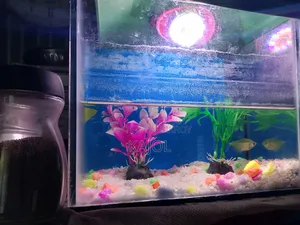 Akta Aqurium Set Sell Hobe