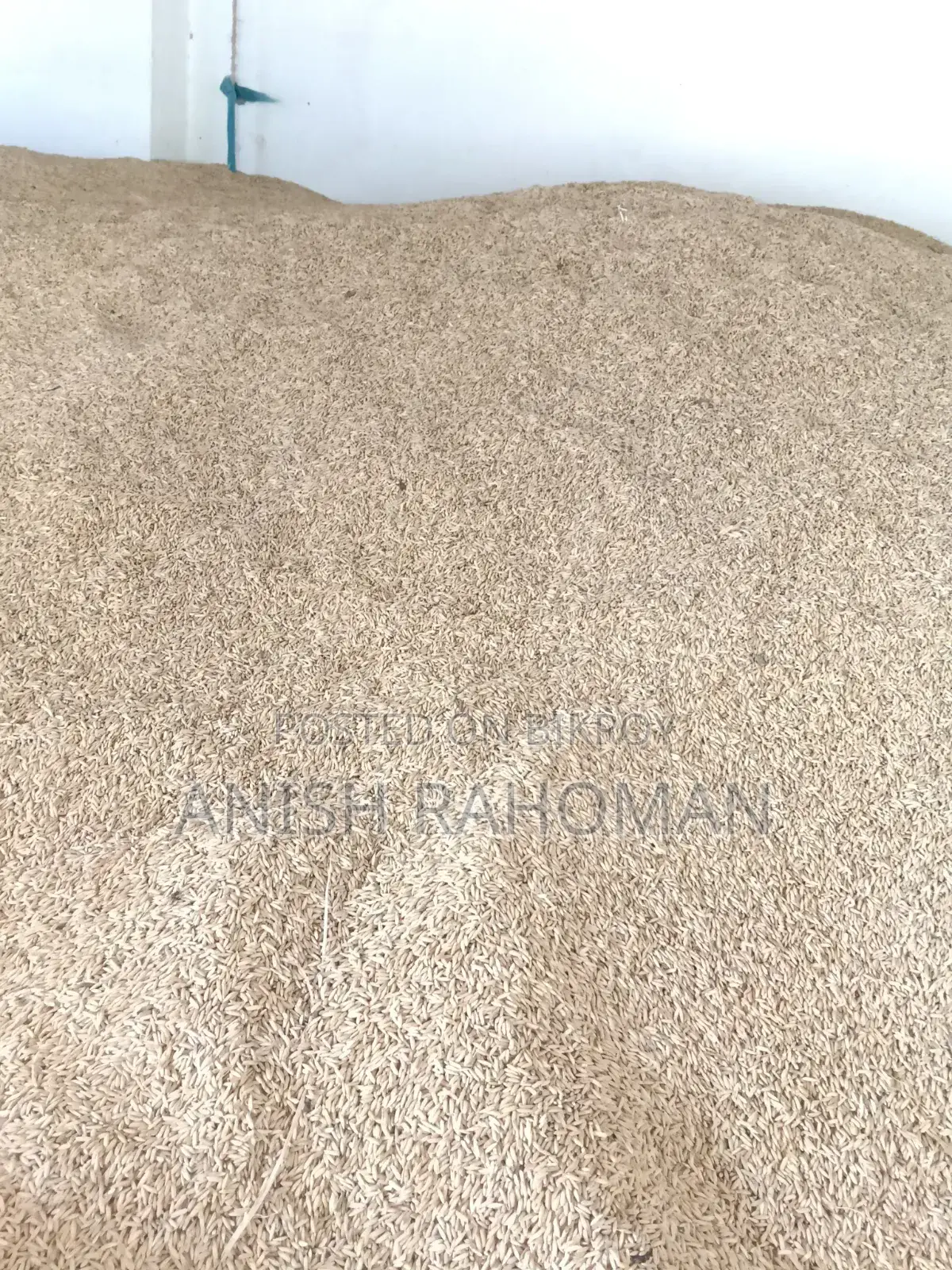 Dried 29 variety paddy for sale