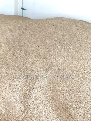 Dried 29 variety paddy for sale
