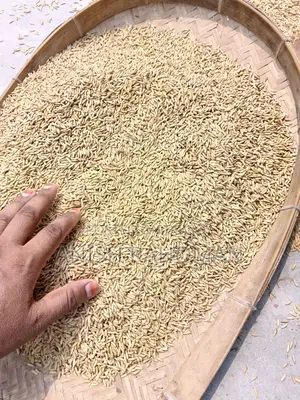 Dried 29 variety paddy for sale