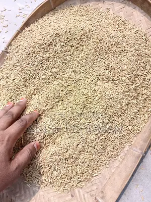 Dried 29 variety paddy for sale
