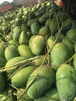 চাঁপাইনবাবগঞ্জ পাইকারি রেট আম সেল করা হবে