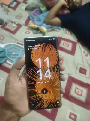 Google Pixel 6 Pro ১২৮ জিবি