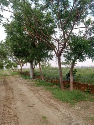১৯ শতাংশ জমি বিক্রয় at আউয়াল মার্কেট, আমিন বাজার।