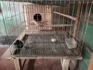 Bird cage and breeding set, one small and one large, two sets to be sold