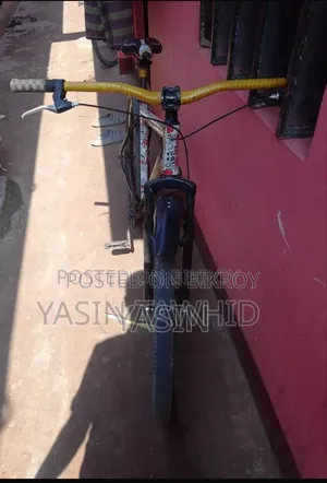 Phoenix Bicycle
