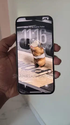 Apple iPhone 12 Pro Max 256 GB Gold