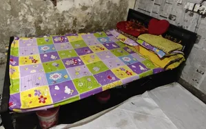 Steel Bed