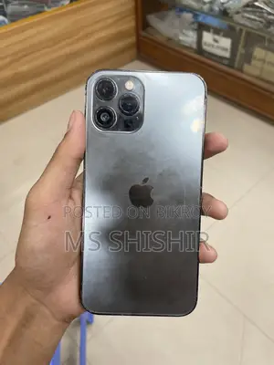 Apple iPhone 12 Pro Max ২৫৬ জিবি গ্রে