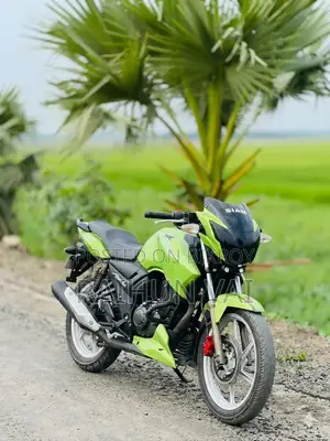 TVS Apache RTR 160 2V 2016 Green