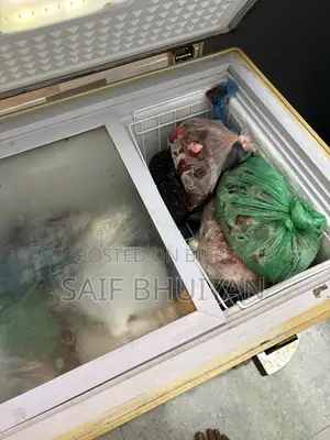 সিঙ্গার ডিপ ফ্রিজার