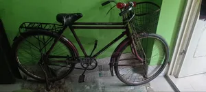 Old Bicycle