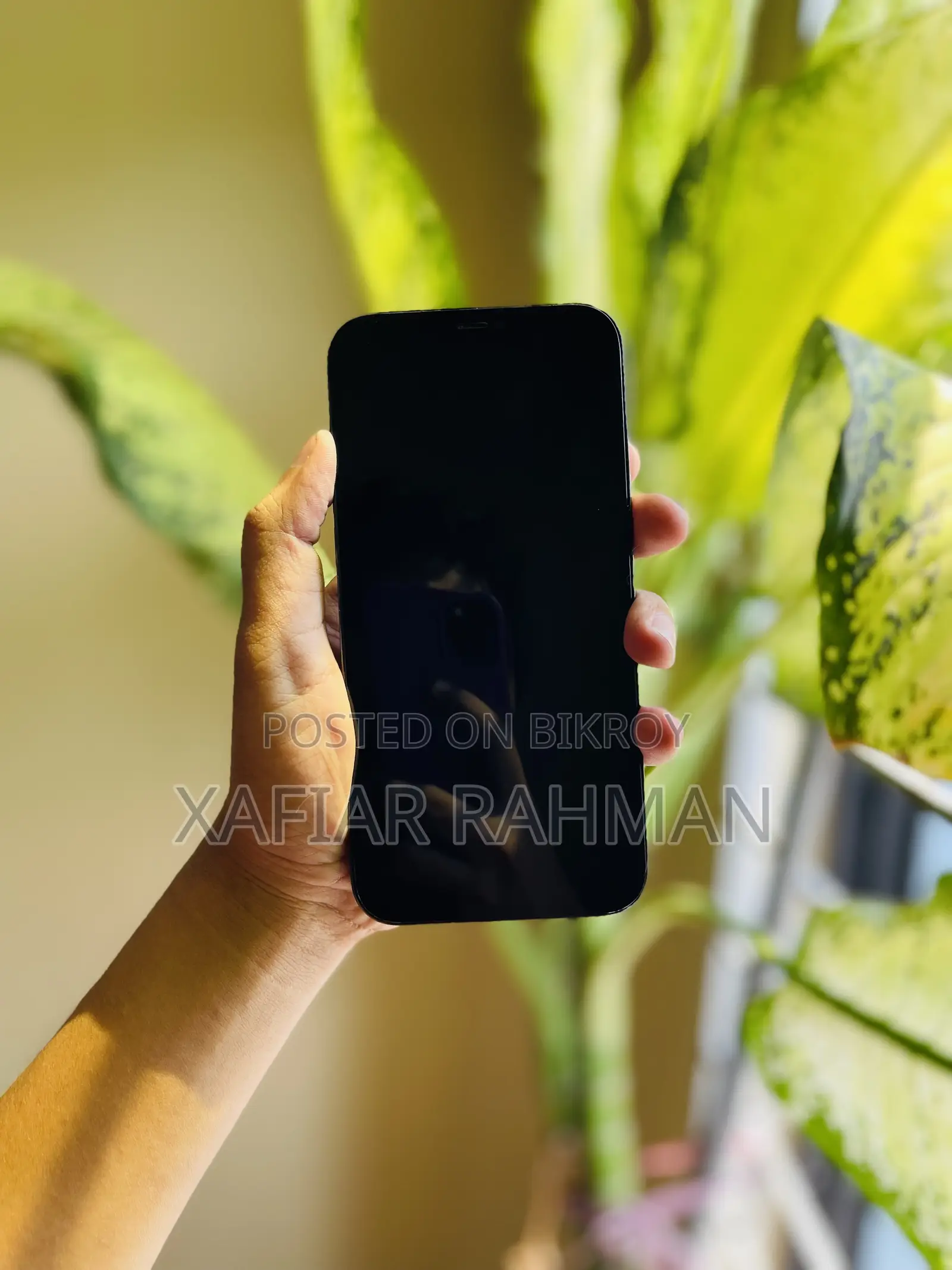 Apple iPhone 12 Pro Max 256 GB Blue