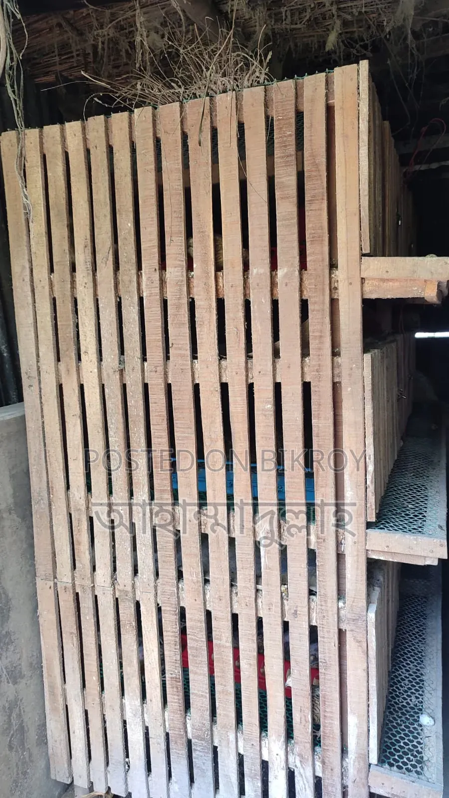 2 Quail Cages (Wood + Iron)