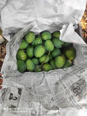 Himsagar/Khirsapat Mango