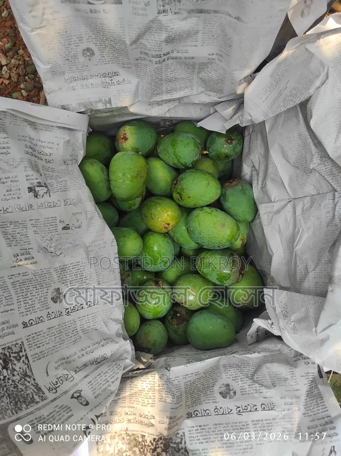 Himsagar/Khirsapat Mango