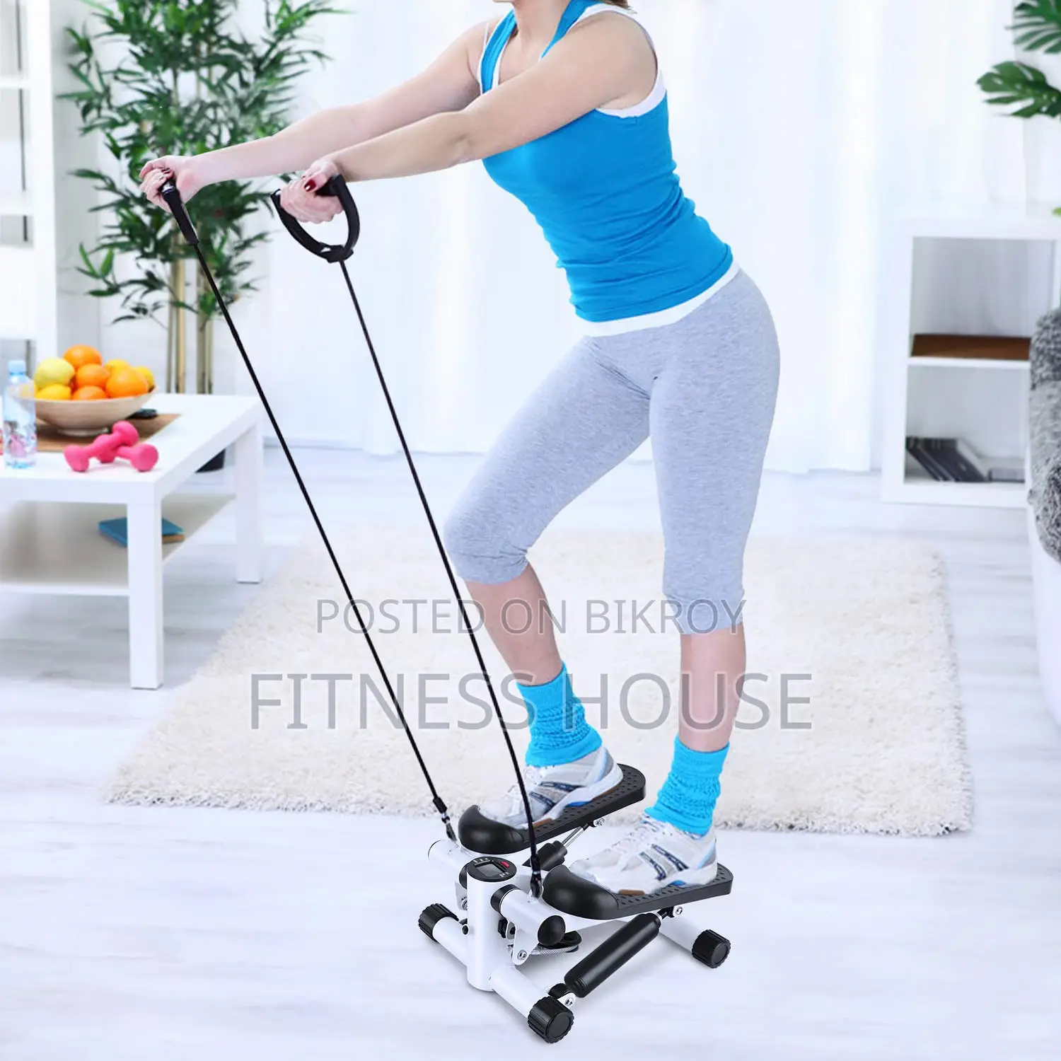 Mini Fitness Twist Stepper With Electronic Display and Resistance Bands