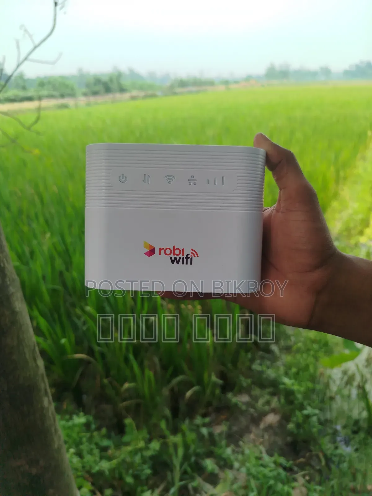 Robi, Wifi