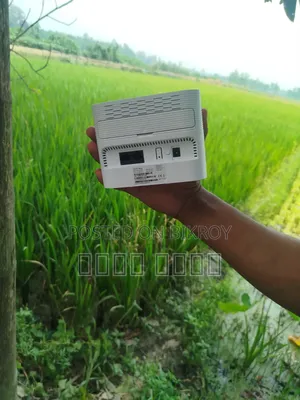 Robi, Wifi