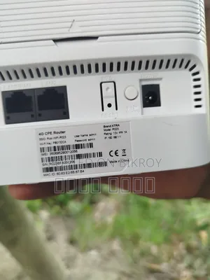 Robi, Wifi