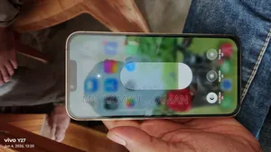 অ্যাপল আইফোন ১৩ প্রো ম্যাক্স ২৫৬ জিবি গোল্ড