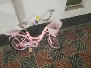 মহিলাদের সাইকেল