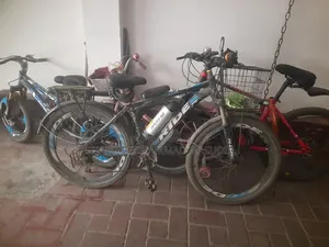 Electric Bicycle/ E-Bike