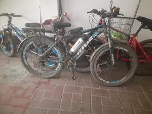 Electric Bicycle/ E-Bike