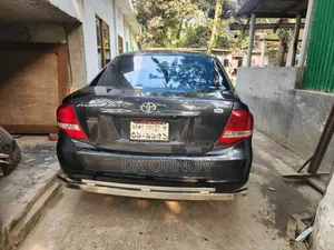 Toyota Axio 2010 Gray