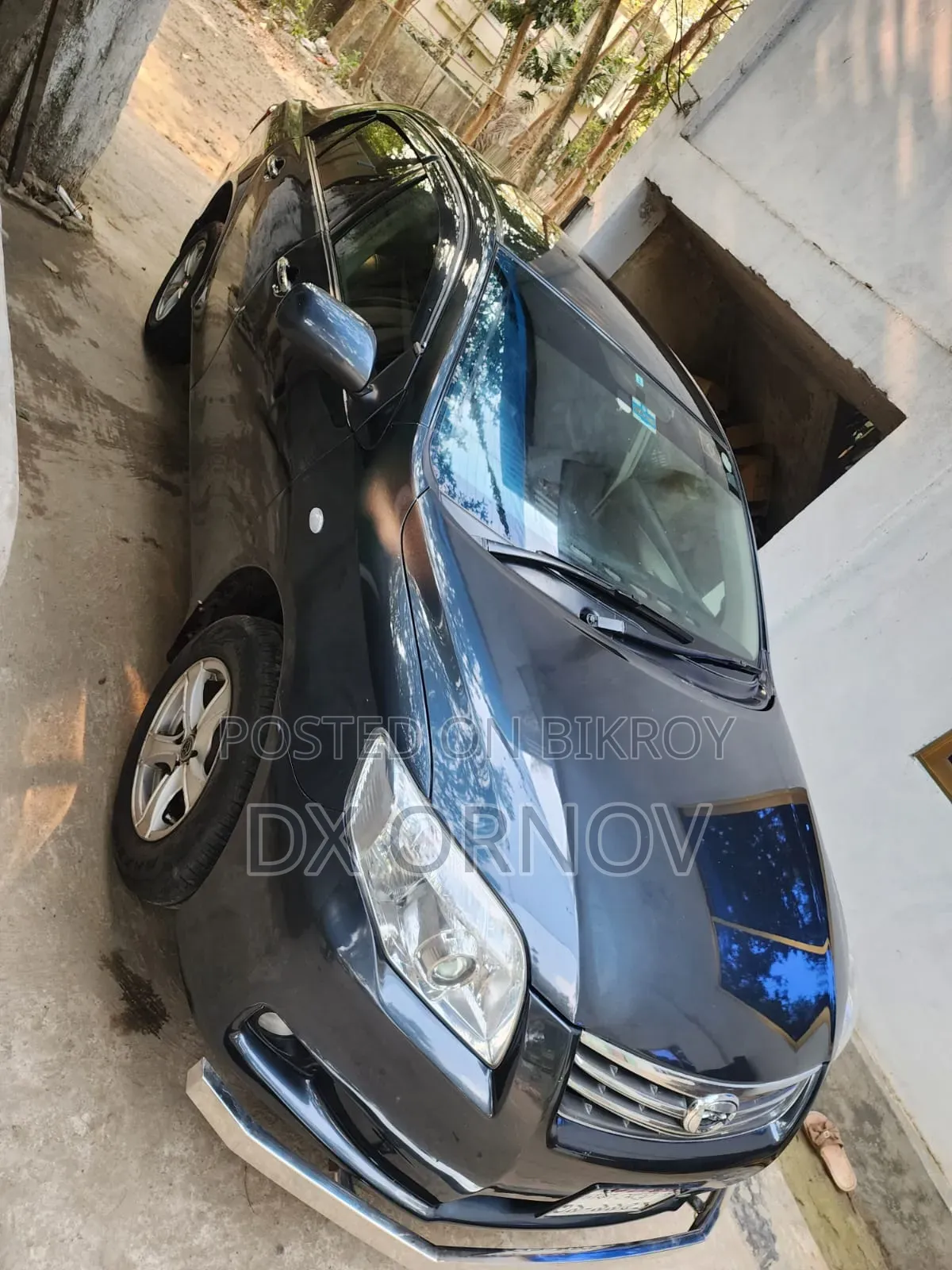 Toyota Axio 2010 Gray