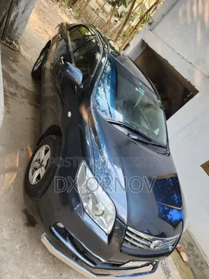 Toyota Axio 2010 Gray
