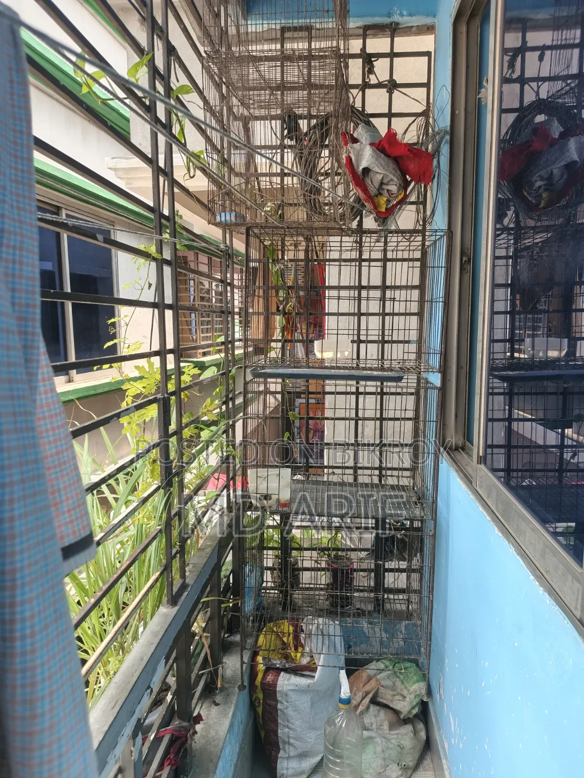 3 cages for sale