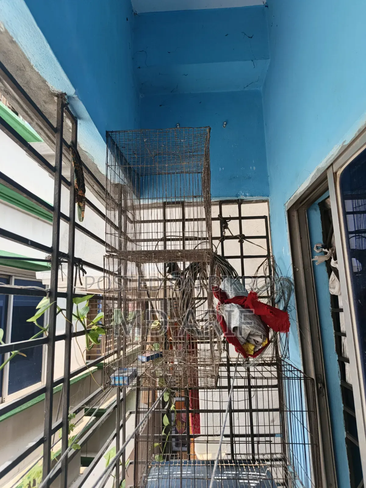 3 cages for sale