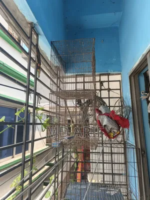 3 cages for sale