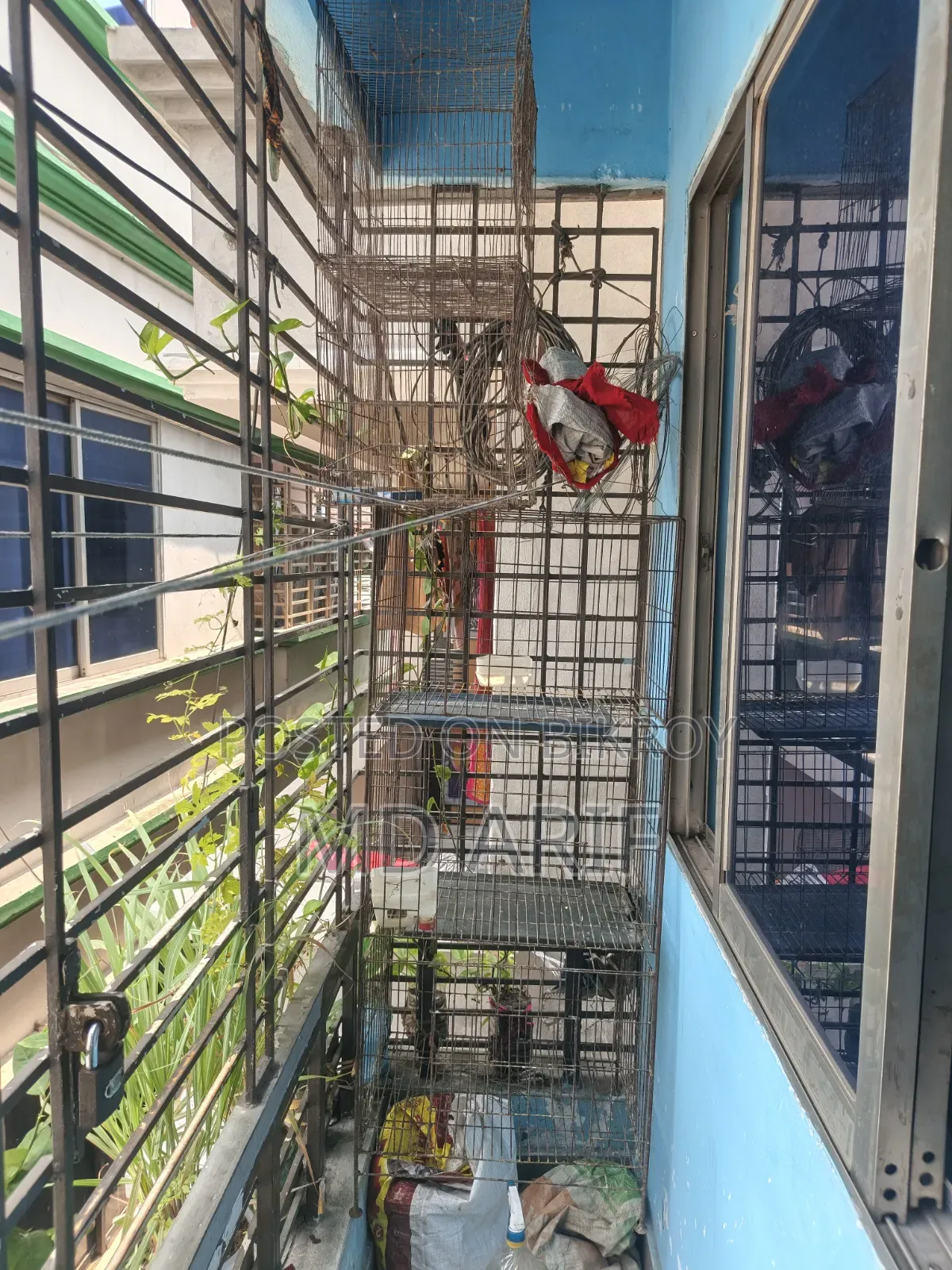 3 cages for sale