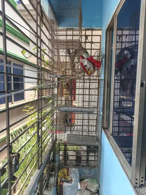3 cages for sale