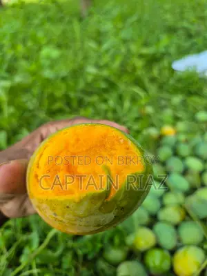 অরিজিনাল হিমসাগর আম