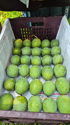 অরিজিনাল হিমসাগর আম