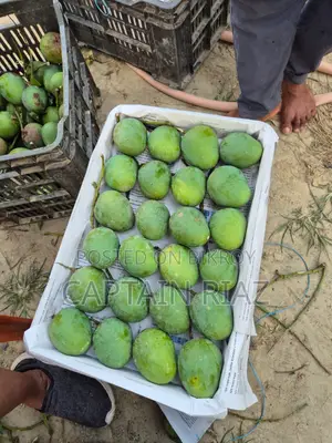 অরিজিনাল হিমসাগর আম