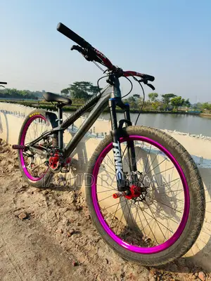 Boarse Sunshine 6.1  (Aurora Black)
