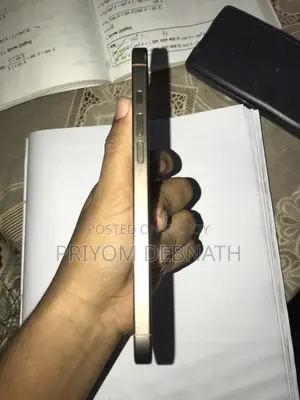 Apple iPhone 16 Pro Max 256 GB