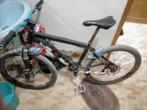 Gear Bicycle