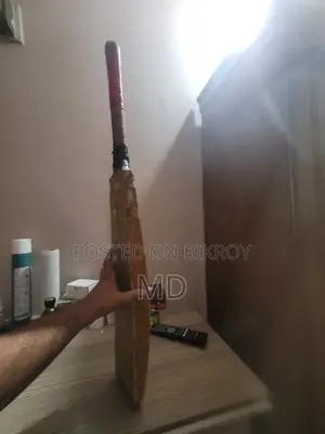 Cricket Bat