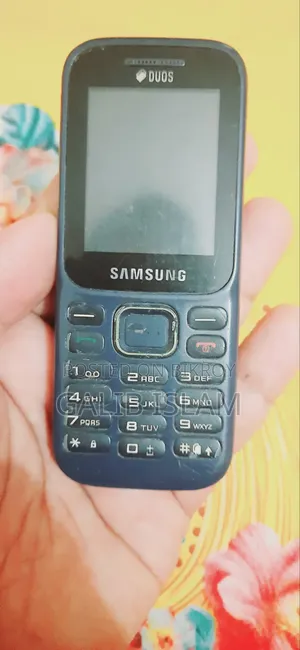 স্যামসাং ইউ৬০০ ব্লু