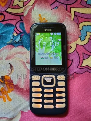 Samsung Guru Music 2 Gray