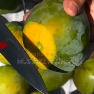 Famous Himsagar Mango from Rajshahi | Directly from the orchard | Home delivery.