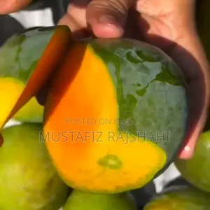 Famous Himsagar Mango from Rajshahi | Directly from the orchard | Home delivery.