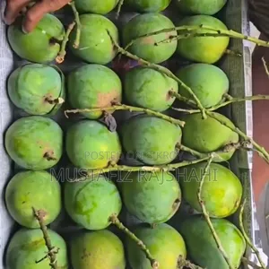 Famous Himsagar Mango from Rajshahi | Directly from the orchard | Home delivery.