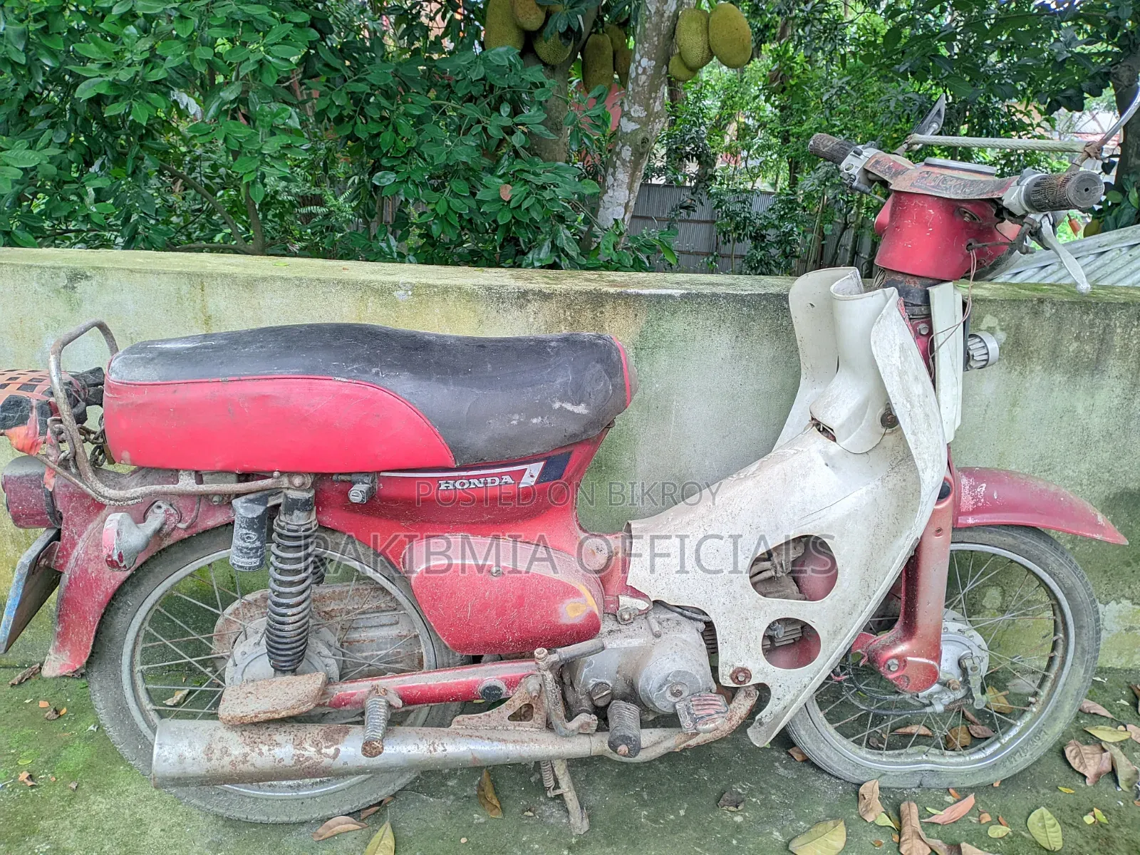 হোন্ডা ২০২৫ লাল